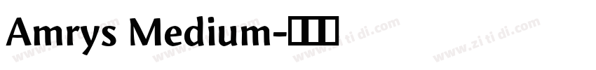 Amrys Medium字体转换